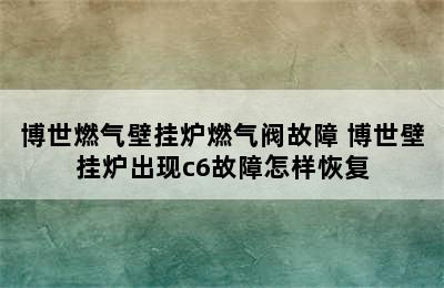 博世燃气壁挂炉燃气阀故障 博世壁挂炉出现c6故障怎样恢复